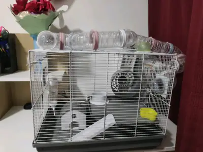 Jaula para hámster con accesorios - miniatura 4