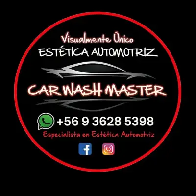 Fundas tipo tapiz a medida para autos - miniatura 3