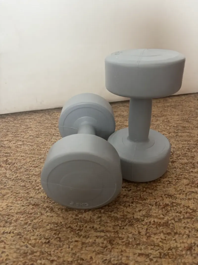 Mancuernas de 2.5 kg color gris - 1