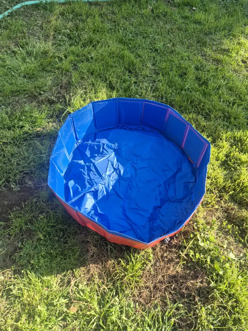 Piscina plegable para mascotas azul - 2