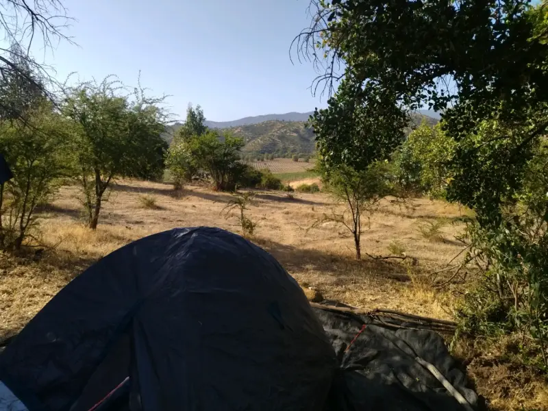 Parcela en Pumanque. - 2