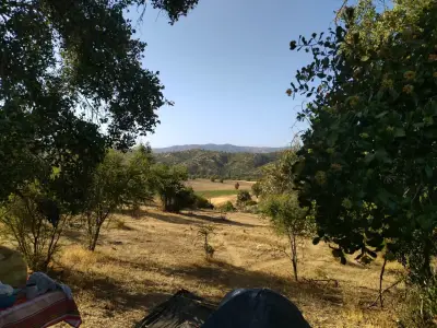 Parcela en  Pumanque. - miniatura 3