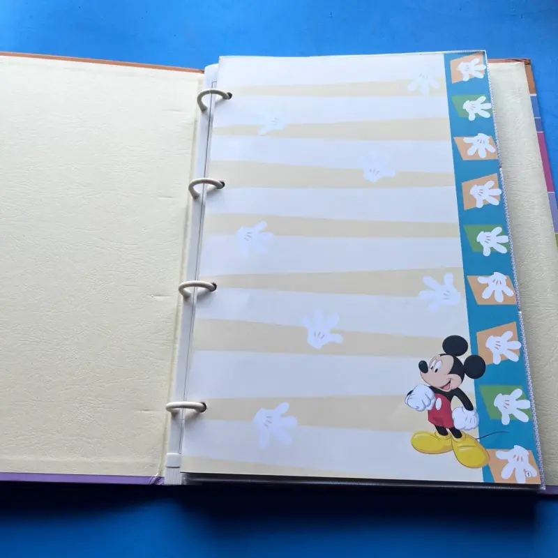 Álbum Disney Mickey, Goofy y Donald - 2