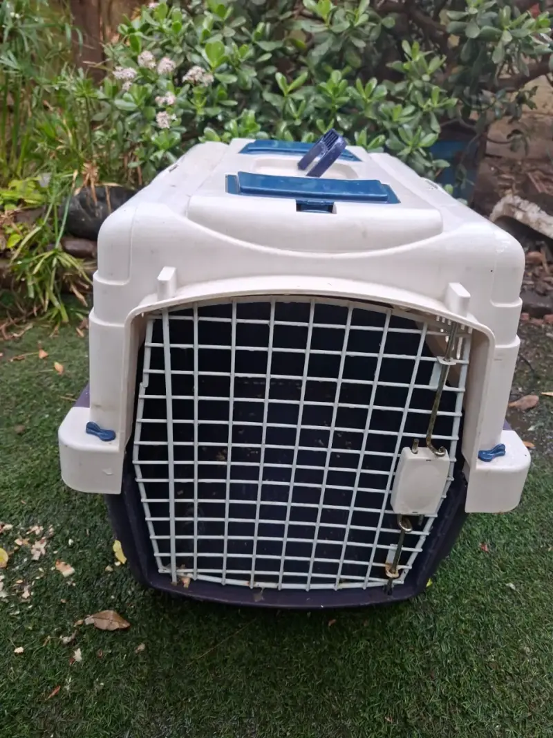 Transportadora de mascotas mediana azul y blanca - 1