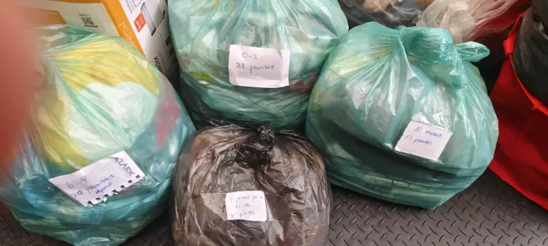 Lote de ropa infantil variada - 2