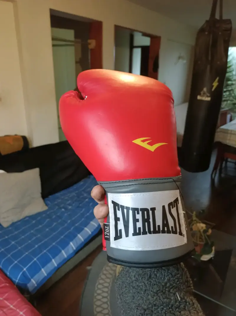 Guantes de boxeo Everlast Pro Style rojos - 2