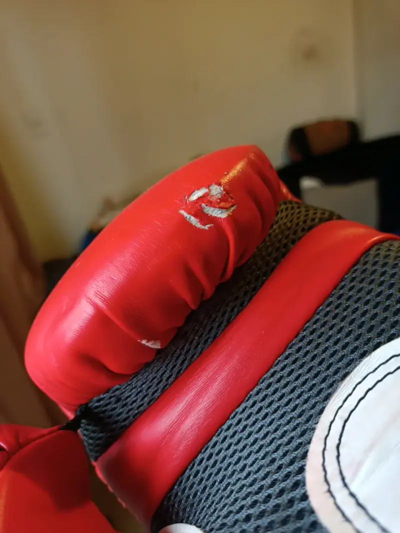 Guantes de boxeo Everlast Pro Style rojos - 4
