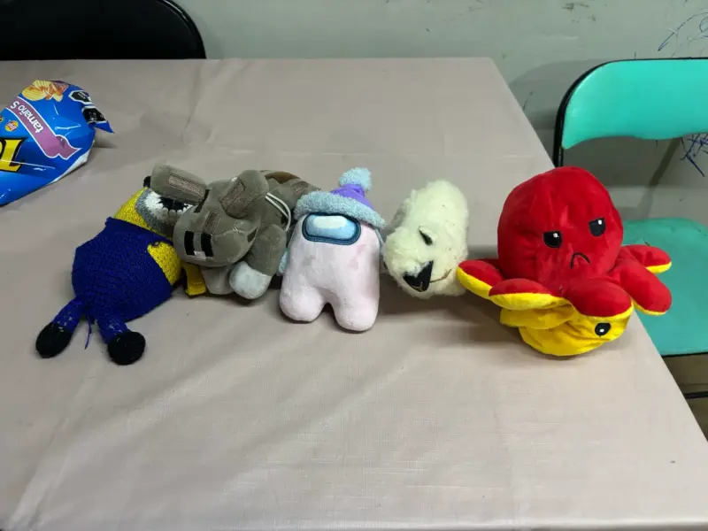 Set de peluches variados de personajes - 1