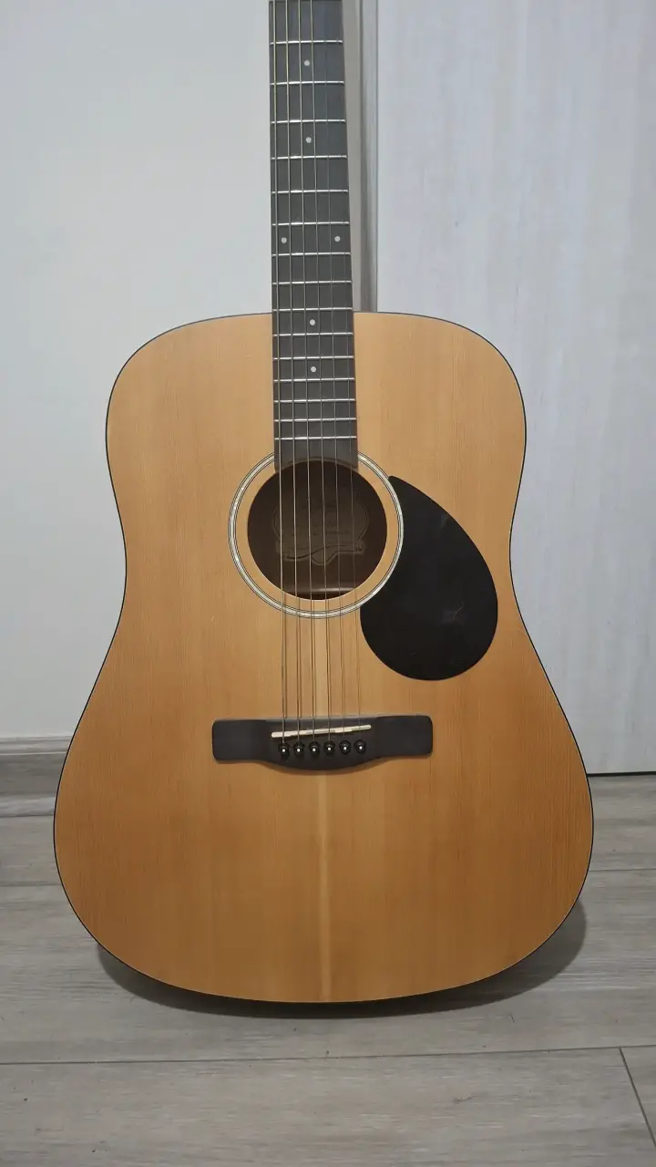 Guitarra acústica Greg Bennett - 1