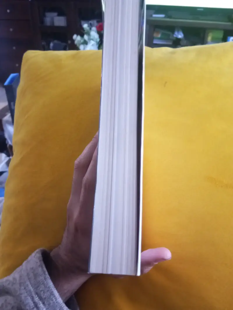 Libro 'Oro de Rey' de Luis Miguel - 3