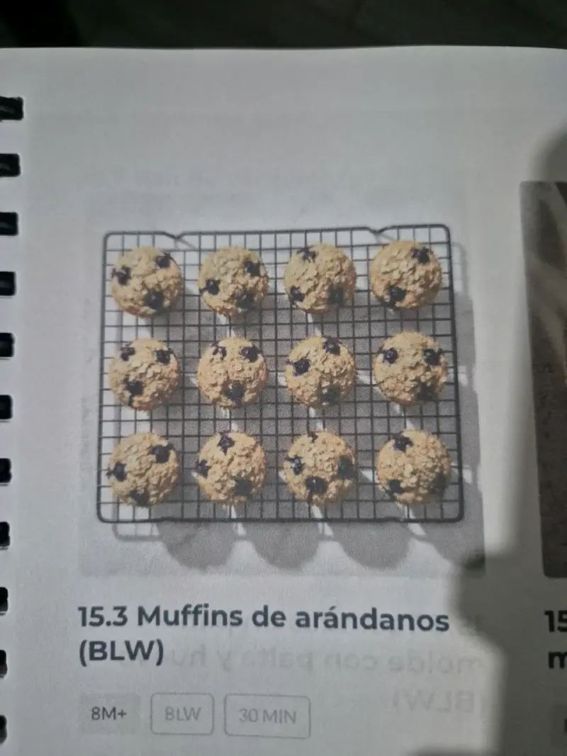 Libro de recetas para bebés 'Mi Bebé Come Feliz' - 4