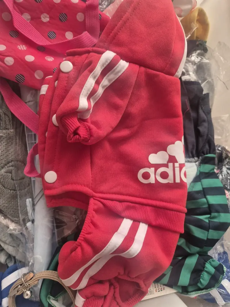 Buzo deportivo para perro rojo con capucha - 1