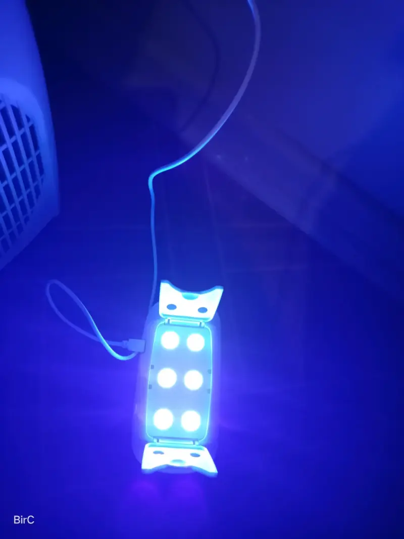Lámpara UV Banjoe con cable USB - 4