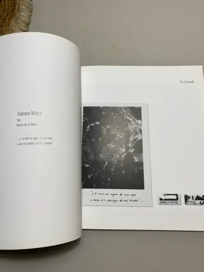 Libro Literarte: Mi Palabra Tu Imagen - miniatura 3