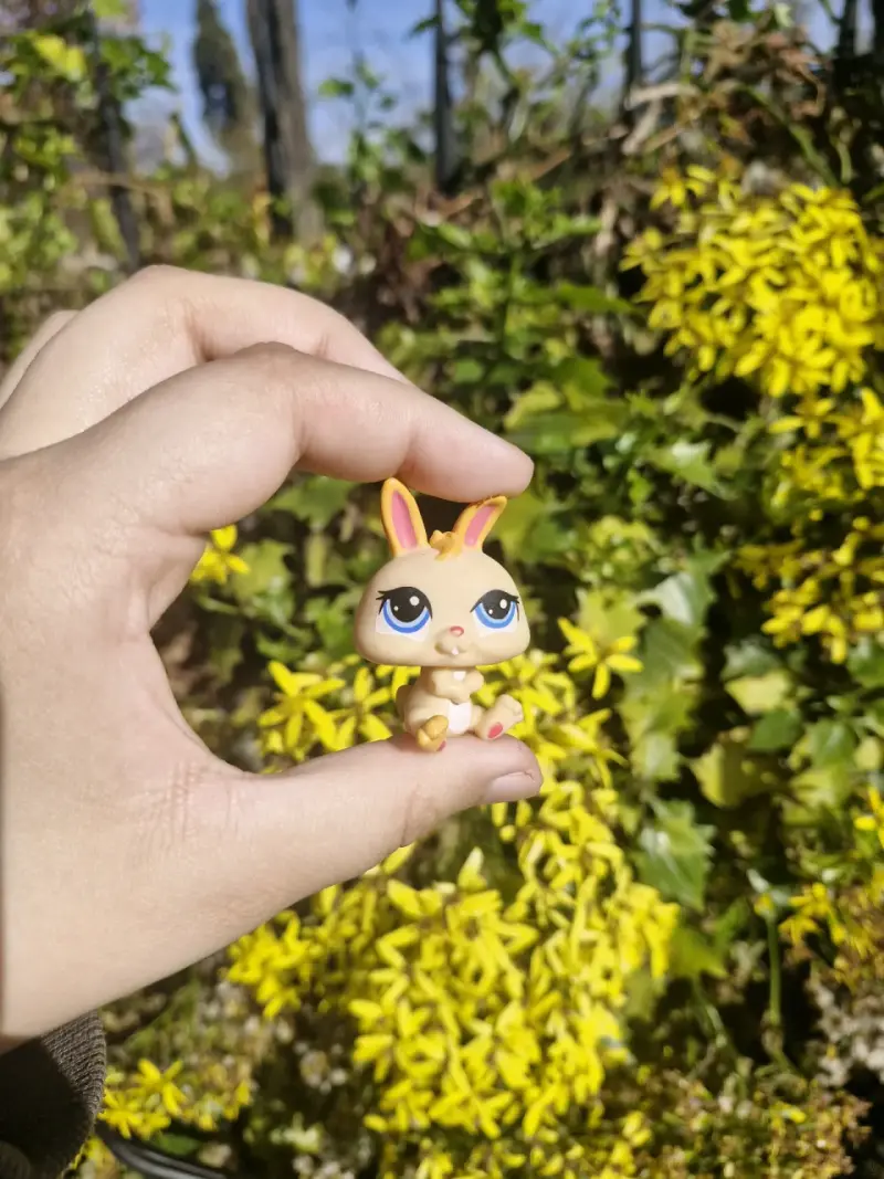 Little pet shop lps - 3