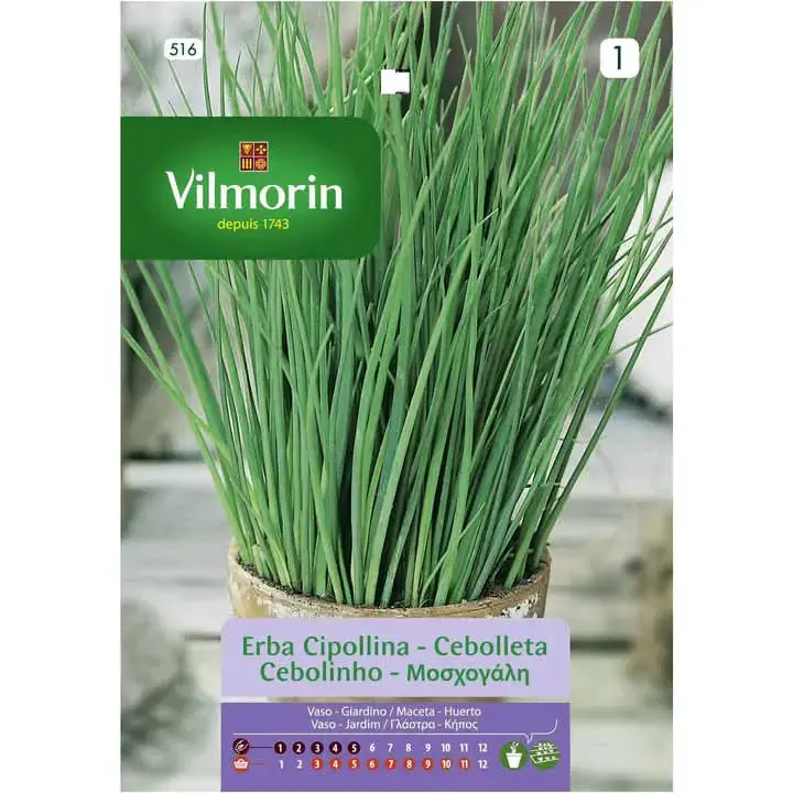 Semillas de cebollín Vilmorin para huerto - 1