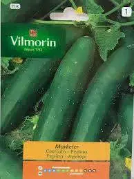 Semillas de cebollín Vilmorin para huerto - 2