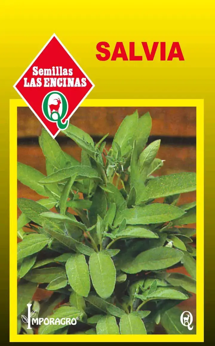 Semillas de cebollín Vilmorin para huerto - 3