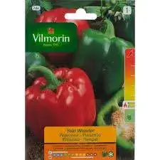 Semillas de cebollín Vilmorin para huerto - 4