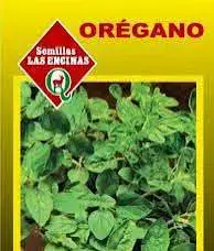 Semillas de cebollín Vilmorin para huerto - 5