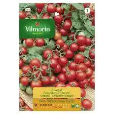 Semillas de cebollín Vilmorin para huerto - 6