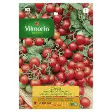 Semillas de cebollín Vilmorin para huerto - miniatura 6