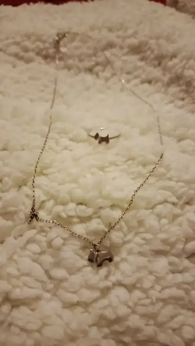 Collar de plata de perrito + anillo ajustable - miniatura 1