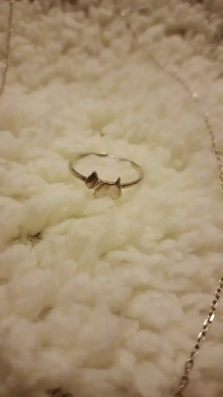 Collar de plata de perrito + anillo ajustable - 2