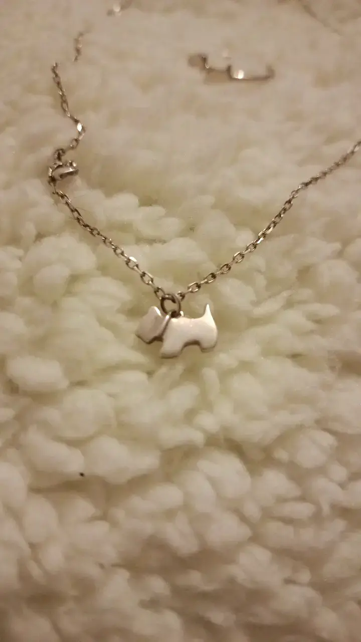 Collar de plata de perrito + anillo ajustable - 4