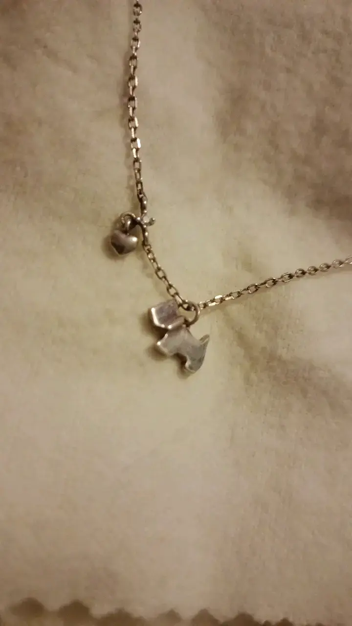 Collar de plata de perrito + anillo ajustable - 5