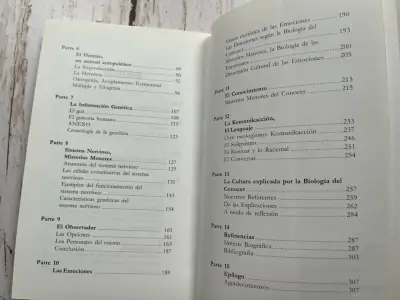 Significado Esotérico del Concepto Cultural - miniatura 6