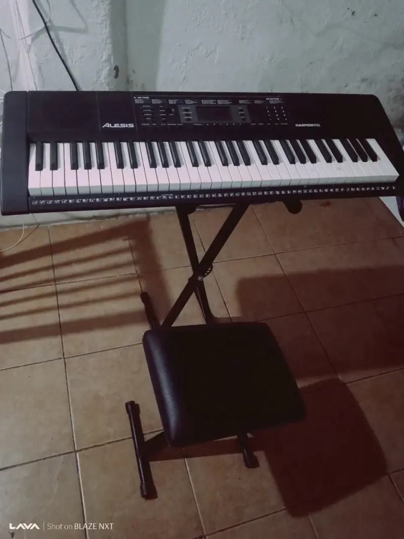 Teclado electrónico Alesis Harmony 61 con soporte - 6