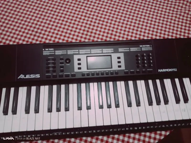 Teclado electrónico Alesis Harmony 61 con soporte - 10
