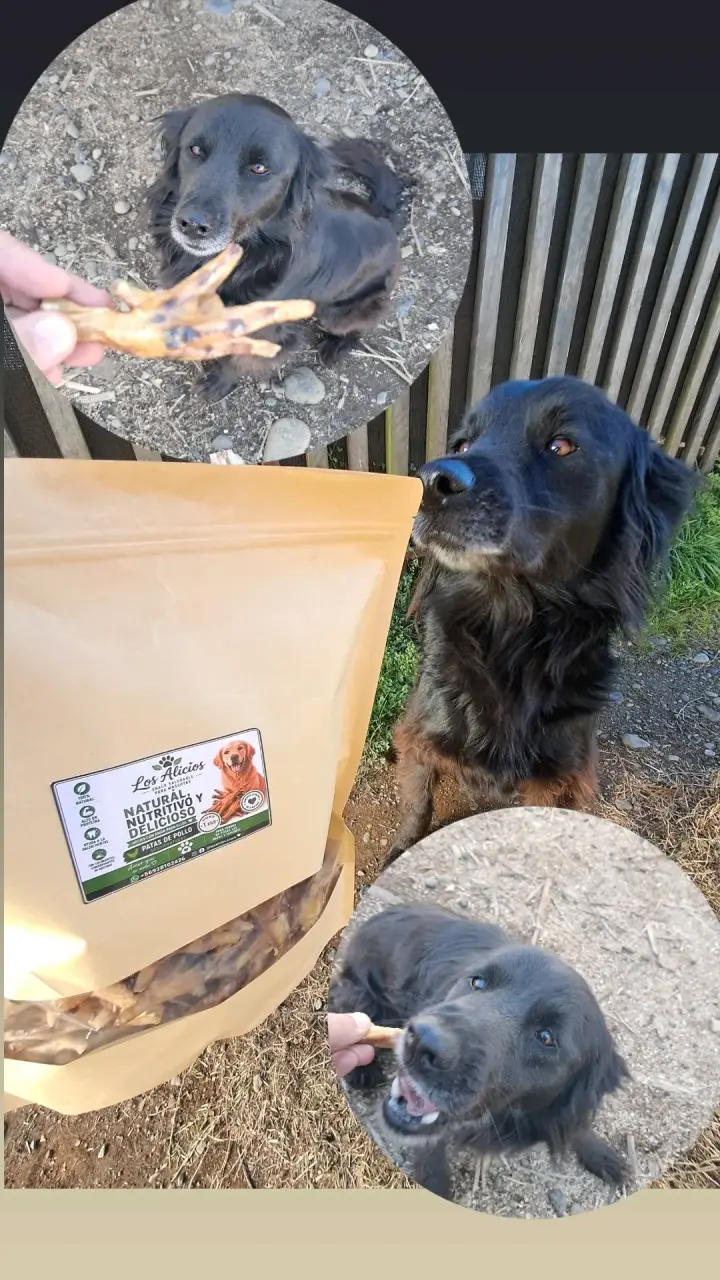 Snack saludable para perros Los Alicios - 4