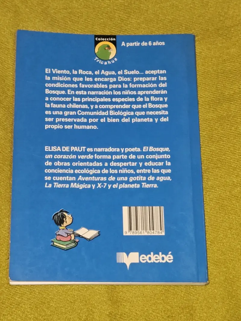Libro infantil 'El bosque, un corazón verde' - 2