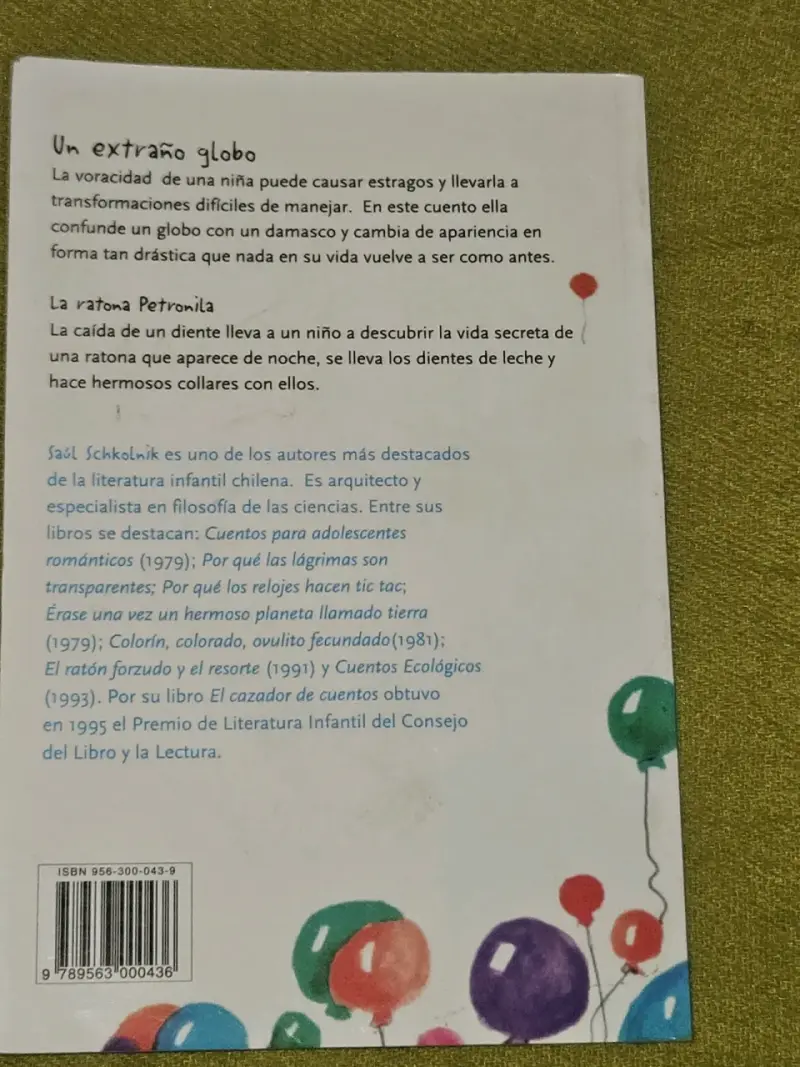 Libro infantil 'Un extraño globo' de Saúl Schkolnik - 2