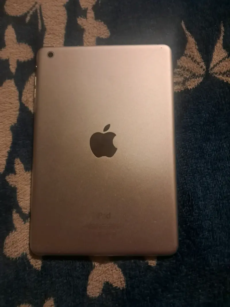 iPad Apple en buen estado - 1