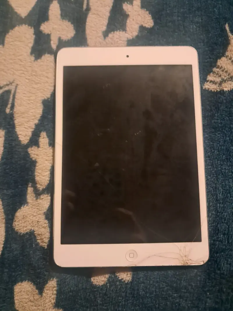 iPad Apple en buen estado - 2