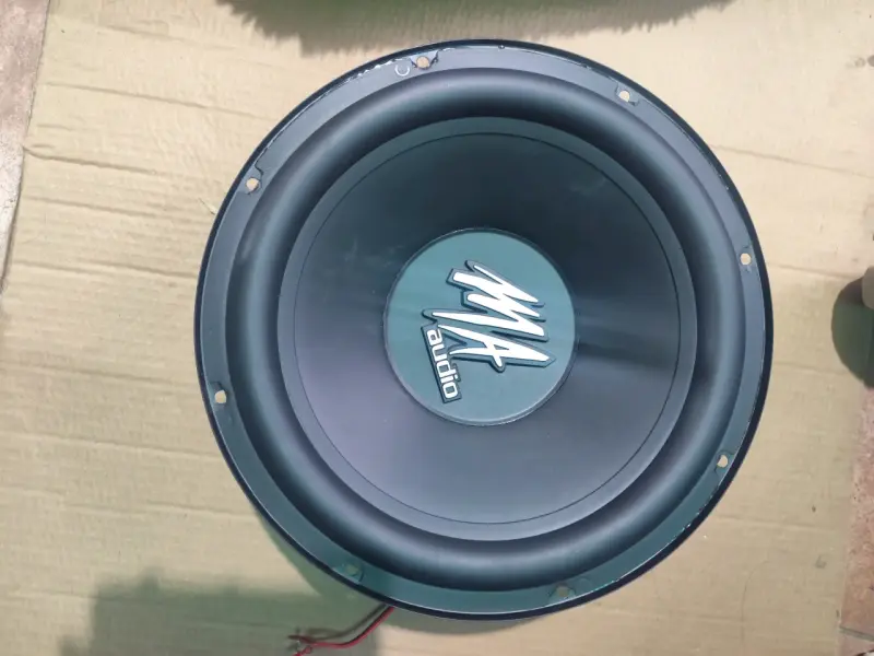 Subwoofer MA de 1000 watts - 3