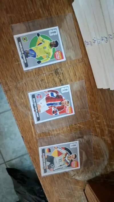Colección de láminas de fútbol Panini - miniatura 4