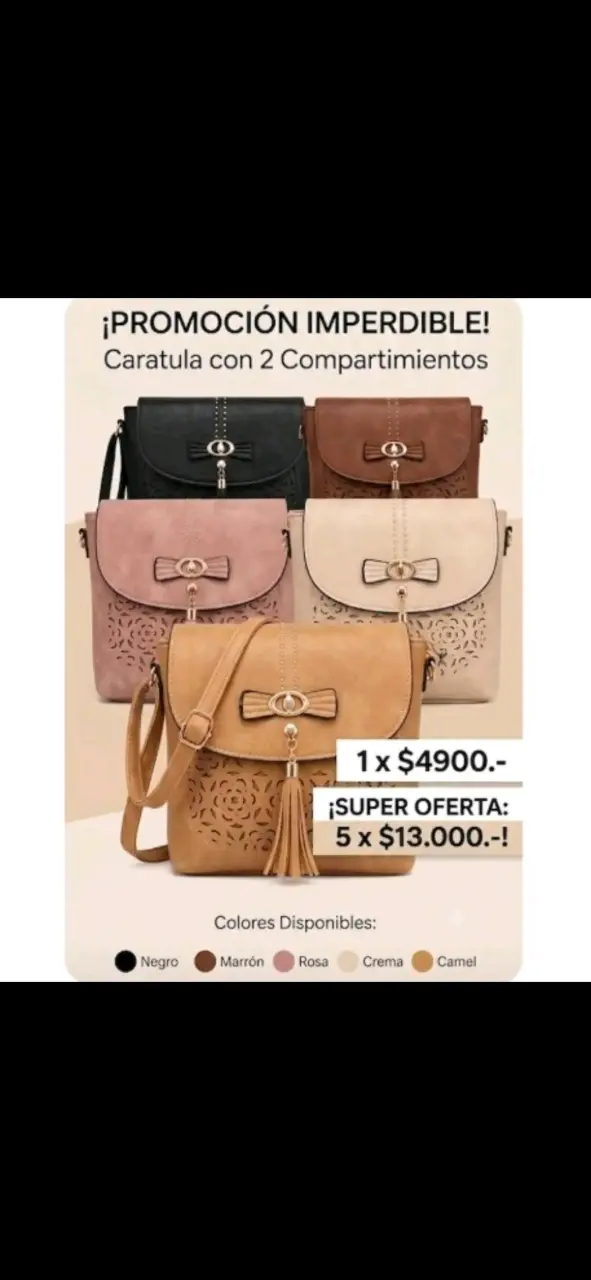 Cartera con 2 compartimentos y diseño elegante - 1