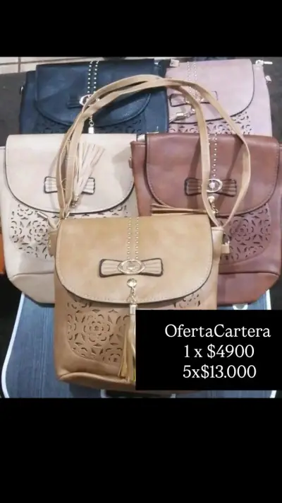 Cartera con 2 compartimentos y diseño elegante - miniatura 2