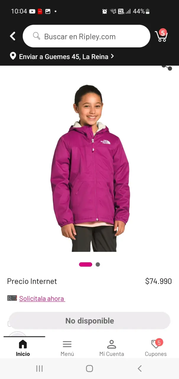 Chaqueta The North Face morada con capucha - 2