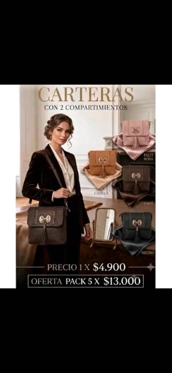 Cartera elegante con 2 compartimientos 5x$13000 - 1