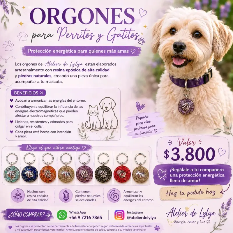 Orgones para mascotas con resina y piedras - 1