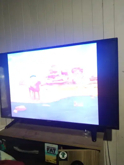 Televisor LED de 50 pulgadas HD - miniatura 1