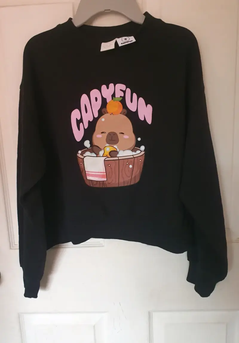 Conjunto Zara kids .poleron y polera Nuevos!! - 1