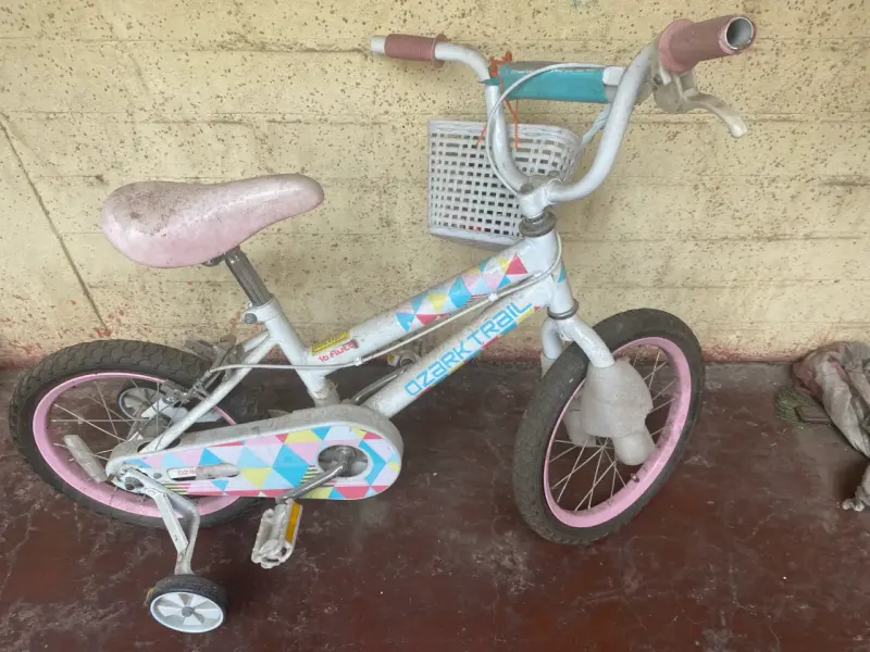 Bicicleta infantil Ozark Trail con ruedas de apoyo