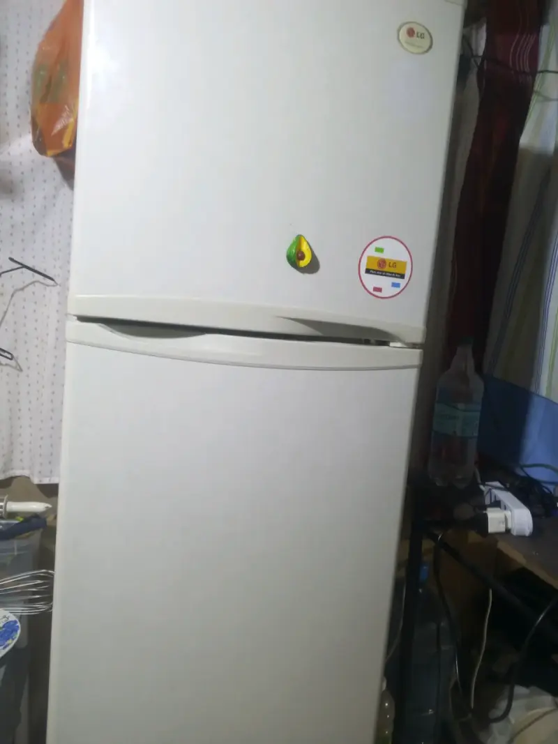 Refrigerador LG blanco de dos puertas - 1