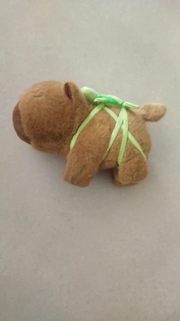 Peluche de capibara con tortuga decorativa - 2